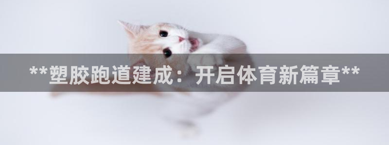 尊龙物流怎么样：**塑胶跑道建成：开启体育新篇章**