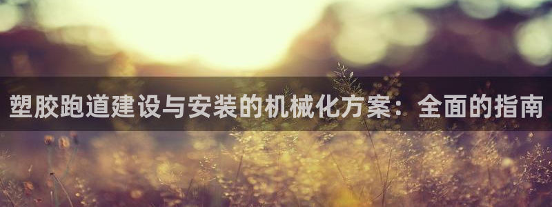 尊龙eight is enough：塑胶跑道建设与安