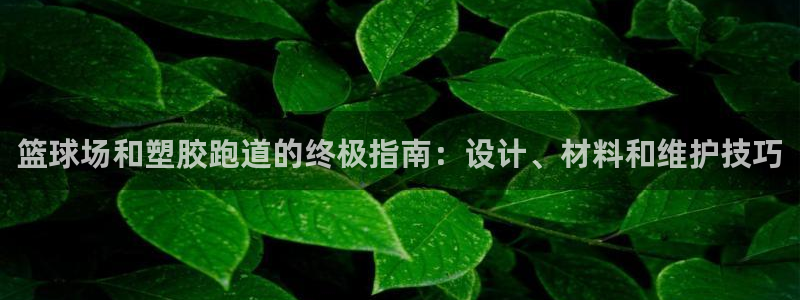 z6com尊龙凯时代理：篮球场和塑胶跑道的终极指南：