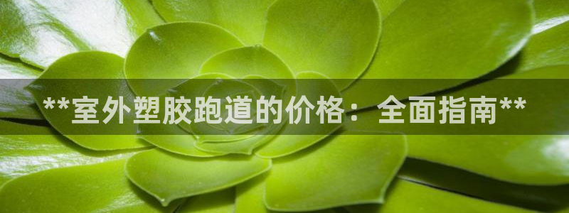 尊龙凯时 - 人生就是搏!：**室外塑胶跑道的价格：全面指南**