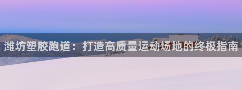 尊龙网站登录：潍坊塑胶跑道：打造高质量运动场地的终极指南