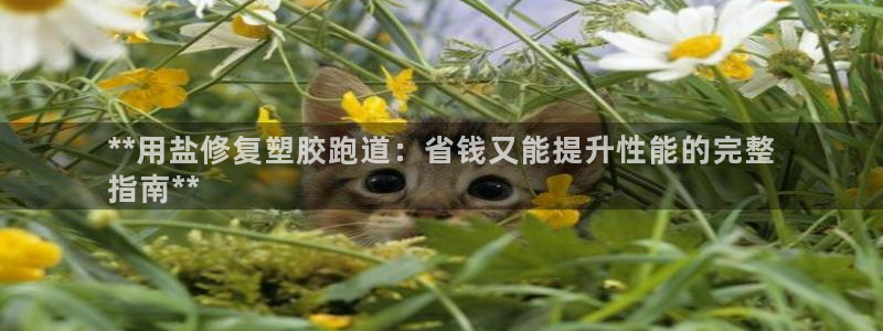 尊龙d88现金 旧版本可靠送38元：**用盐修复塑胶跑道：省钱又能提升性能的完整
指南**