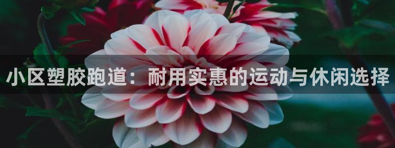 尊龙z6网址：小区塑胶跑道：耐用实惠的运动与休闲选择