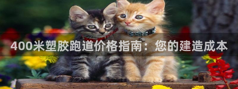 d88尊龙凯时：400米塑胶跑道价格指南：您的建造成本