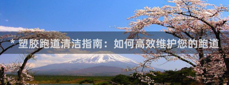 尊龙游戏官网游戏特色：* 塑胶跑道清洁指南：如何高效维护您的跑道