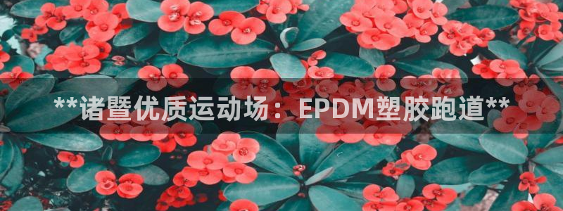 尊龙是什么软件：**诸暨优质运动场：EPDM塑胶跑道