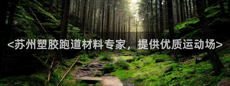 尊龙凯时平台信誉怎样：<苏州塑胶跑道材料专家，提供优质运动场>