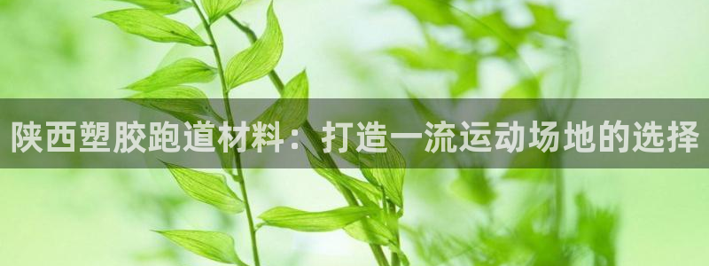 尊龙app最新版本官网：陕西塑胶跑道材料：打造一流运