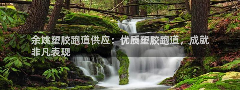 尊龙目前照片：余姚塑胶跑道供应：优质塑胶跑道，成就
非凡表现