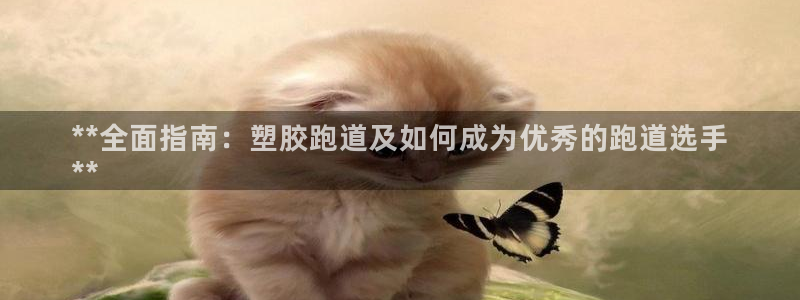 尊龙客服：**全面指南：塑胶跑道及如何成为优秀的跑道选手
**