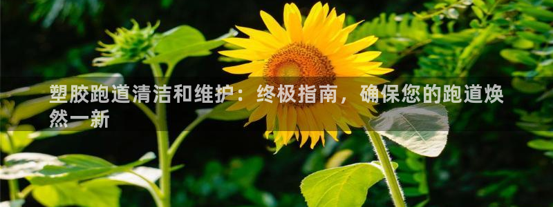 尊龙一生也走不出自己的童年：塑胶跑道清洁和维护：终极