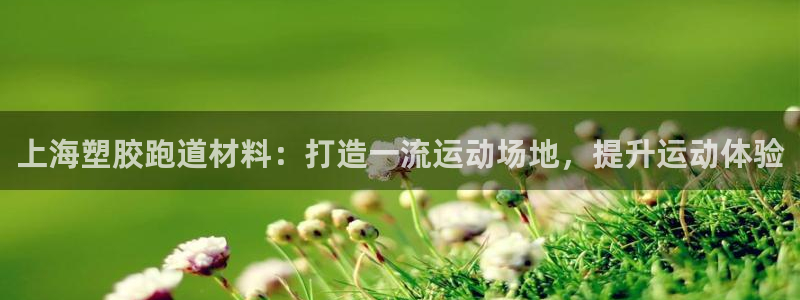 尊龙手机端下载：上海塑胶跑道材料：打造一流运动场地，