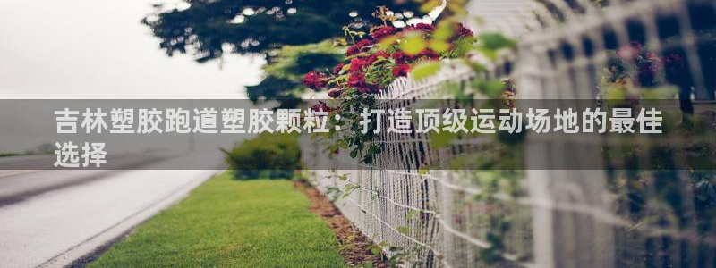 尊龙ktv怎么样：吉林塑胶跑道塑胶颗粒：打造顶级运动场地的最佳
选择