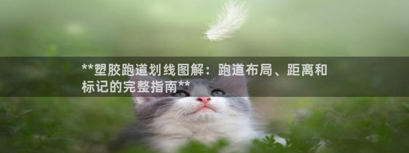 尊龙凯时口碑好吗：**塑胶跑道划线图解：跑道布局、距