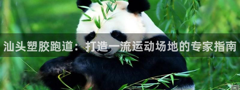 尊龙凯时代理官网入口：汕头塑胶跑道：打造一流运动场地的专家指南