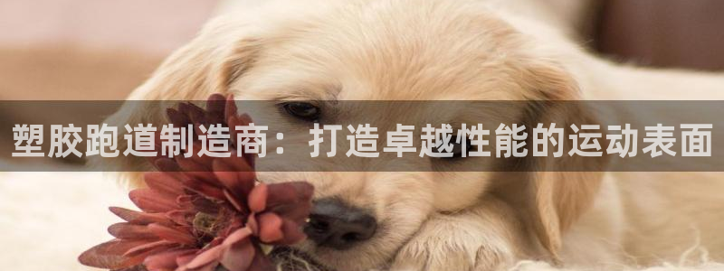 尊龙人生就是博登陆：塑胶跑道制造商：打造卓越性能的运