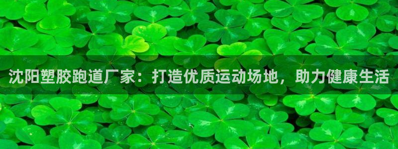 凯时kb88kb88：沈阳塑胶跑道厂家：打造优质运动场地，助力健康生活