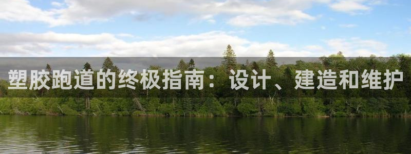 尊龙网站注册网：塑胶跑道的终极指南：设计、建造和维护