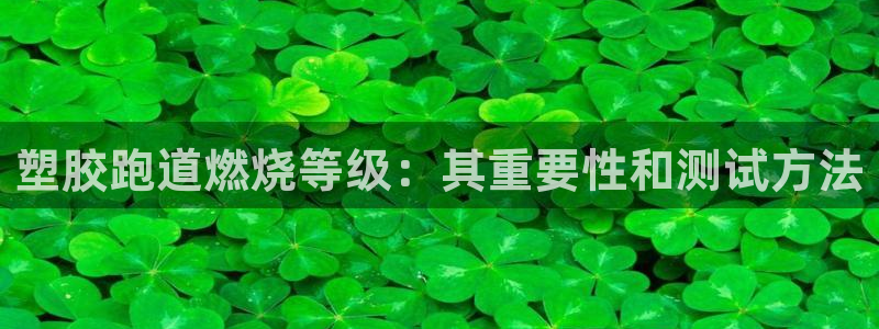 尊龙app怎么样：塑胶跑道燃烧等级：其重要性和测试方法