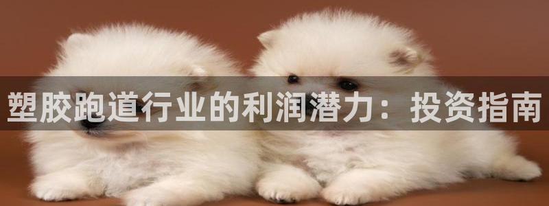 尊龙d88皆选ag发财网：塑胶跑道行业的利润潜力：投