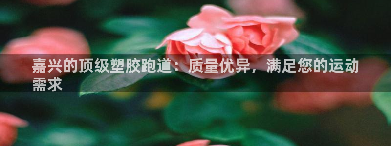 Z6尊龙凯时官方：嘉兴的顶级塑胶跑道：质量优异，满足您的运动
需求