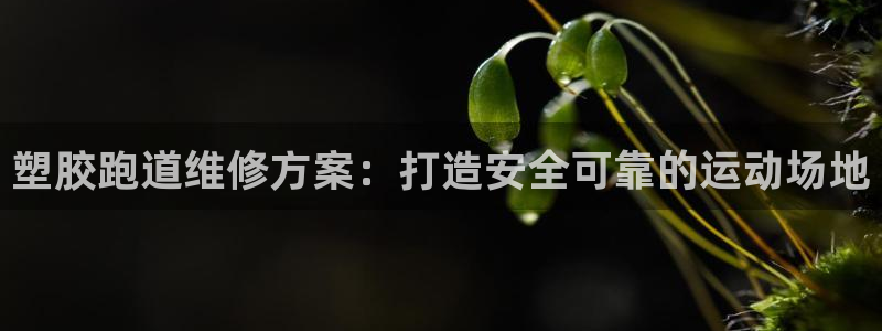 尊龙am i blue：塑胶跑道维修方案：打造安全可靠的运动场地