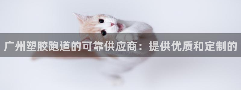 凯时平台登录：广州塑胶跑道的可靠供应商：提供优质和定制的