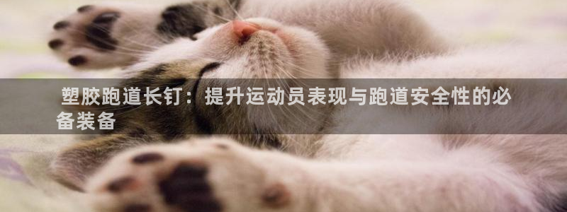 尊龙凯时提现不了： 塑胶跑道长钉：提升运动员表现与跑