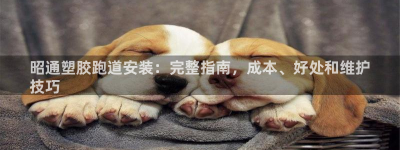 尊龙新版app首页：昭通塑胶跑道安装：完整指南，成本、好处和维护
技巧