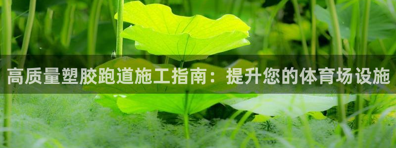 尊龙用现金一下可靠送38元：高质量塑胶跑道施工指南：提升您的体育场设施