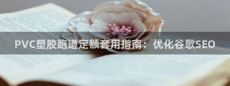 尊龙得过奥斯卡吗：PVC塑胶跑道定额套用指南：优化谷歌SEO