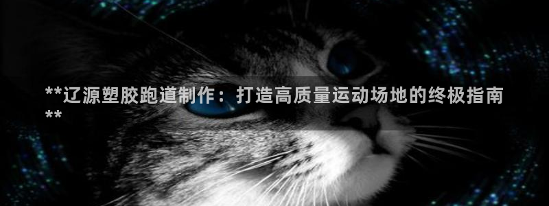 尊龙凯时人生就是博中国官网：**辽源塑胶跑道制作：打