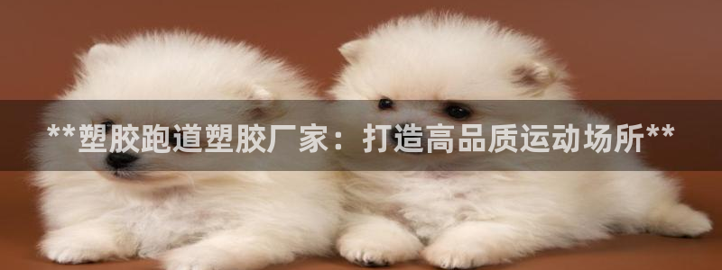 尊龙1003尊龙 - 百度：**塑胶跑道塑胶厂家：打