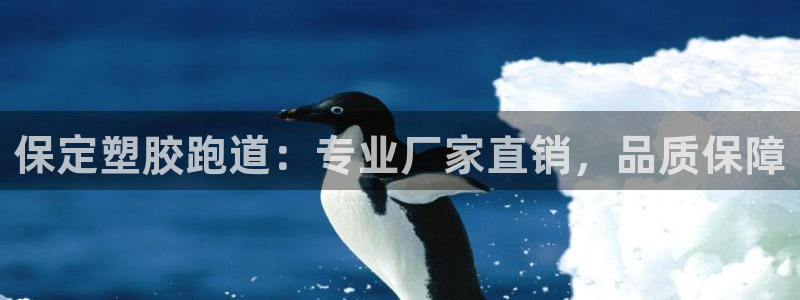 凯时ag旗舰厅网址是什么：保定塑胶跑道：专业厂家直销，品质保障