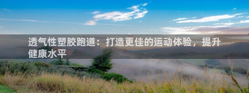 尊龙凯时官方网站下载：透气性塑胶跑道：打造更佳的运动体验，提升
健康水平