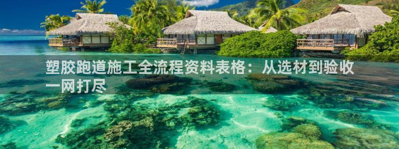 尊龙d88手机版下载：塑胶跑道施工全流程资料表格：从选材到验收
一网打尽