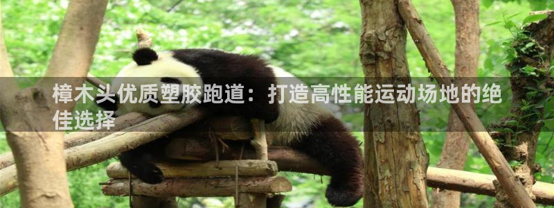 z6尊龙凯时官方