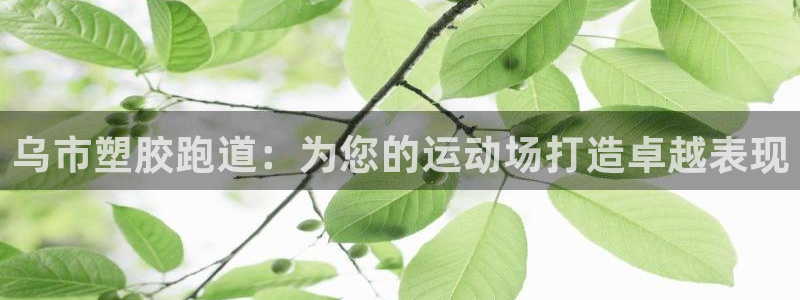 尊龙凯时 - 人生就是搏手机登录：乌市塑胶跑道：为您的运动场打造卓越表现