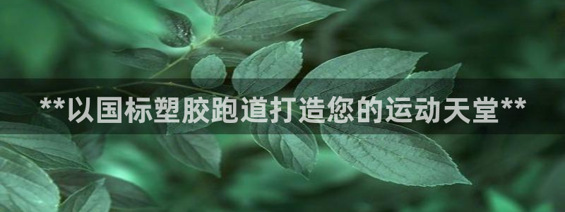 尊龙凯时人生就博官网登录：**以国标塑胶跑道打造您的运动天堂**