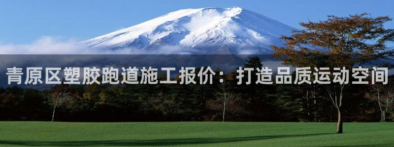 尊龙凯时d3563：青原区塑胶跑道施工报价：打造品质