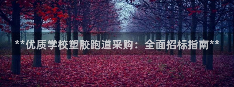 尊龙凯时电竞注册：**优质学校塑胶跑道采购：全面招标