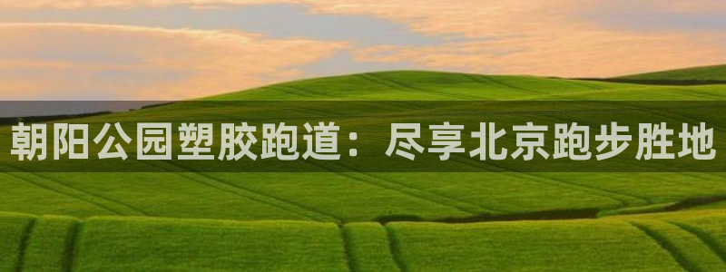 z6com尊龙凯时百家乐下载：朝阳公园塑胶跑道：尽享北京跑步胜地