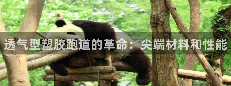 尊龙手机版：透气型塑胶跑道的革命：尖端材料和性能