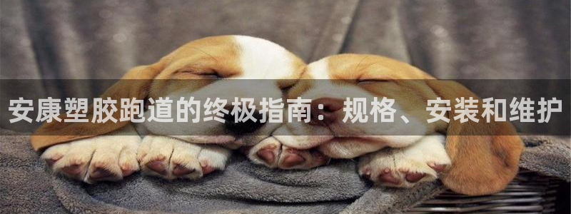 凯时官网手机版下载：安康塑胶跑道的终极指南：规格、安装和维护