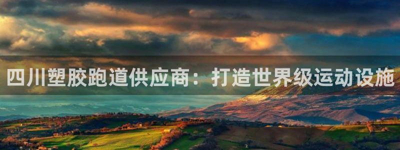 尊龙400：四川塑胶跑道供应商：打造世界级运动设施