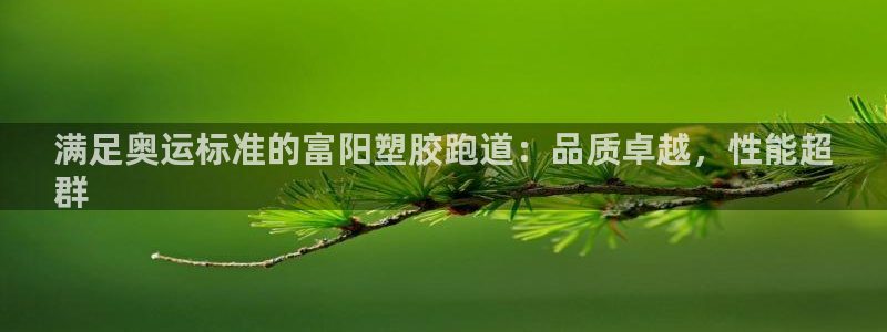 尊龙凯时的企业文化：满足奥运标准的富阳塑胶跑道：品质