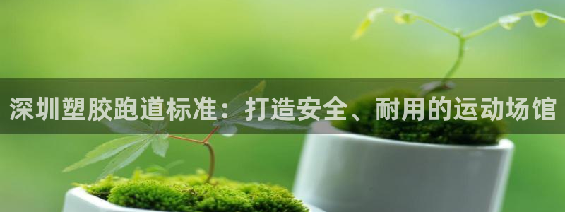 尊龙d88官网选RA来就送38：深圳塑胶跑道标准：打造安全、耐用的运动场馆