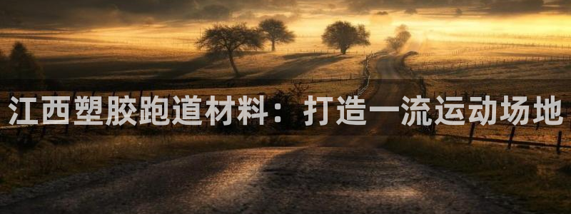 尊龙凯时平台怎么样：江西塑胶跑道材料：打造一流运动场地