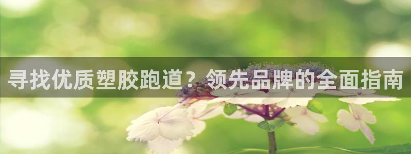 尊龙公司：寻找优质塑胶跑道？领先品牌的全面指南