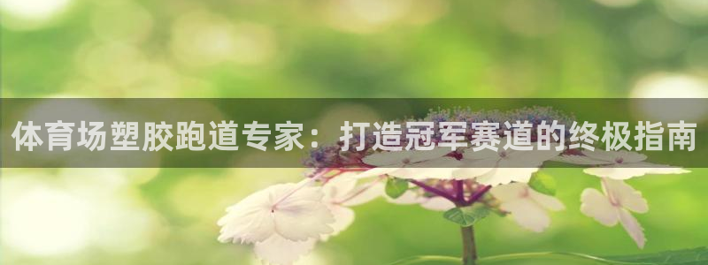 尊龙ag旗舰厅官网登录：体育场塑胶跑道专家：打造冠军赛道的终极指南